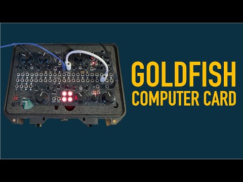Goldfish demo video