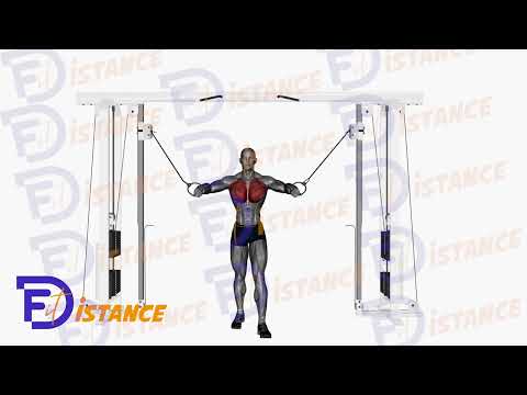 Écartés à la poulie haute - Exercice Écartés à la poulie haute en vidéo