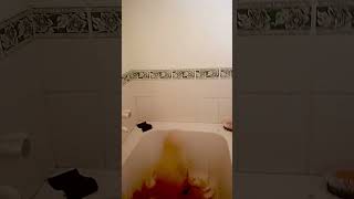 Download lagu Fanta Coca Cola sprite and Mentos || Experiments #shorts #youtubeshorts#viral #trending mp3