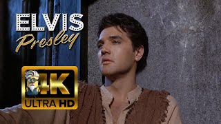 Elvis Presley - So Close Yet So Far (From Paradise) (1965) AI 4K Enhanced Stabilized
