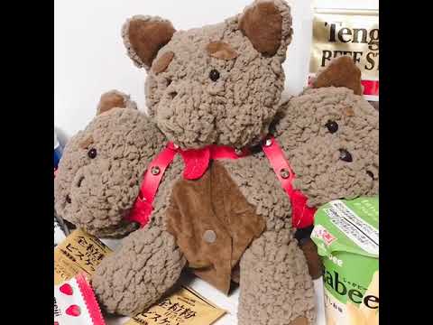 美術学科 ダイエットロボ「ガーディワン」