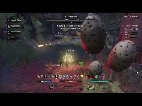 ESO - New Dual Wield PVP Setup - Stamina Nightblade