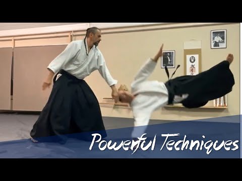Elegant and Powerful Aikido of Zoli Sensei