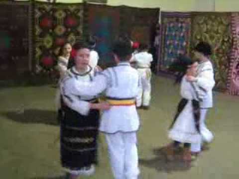 Flori de pe Campie - Pogaceaua - 22 decembrie 2013 - MVI 0076