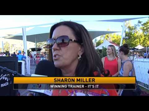 Ascot, 13/02/2016 - Race 10 - IT'S IT - Sharon Miller & William Pike