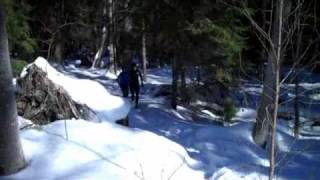 preview picture of video 'Spring Snow Trail Running Huddinge March 14th 2010'