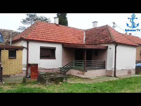 Komshija 61 vjece mbillte domate