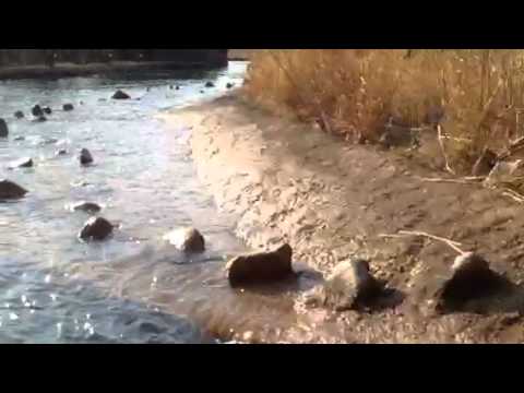 2014.03.21 - EVERLAND