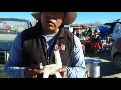 Artesanías en Casabindo, localidad de Abralaite, Jujuy #LaPuna940