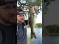 Strike King Bleeding Bitsy Bug Jig
