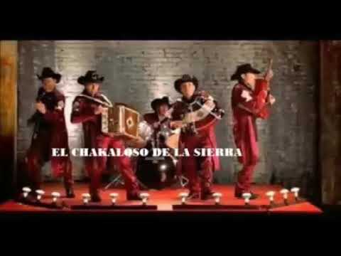 #MartirRubio Grupo Exterminador Mix 2020 Corridos-Más Chingones