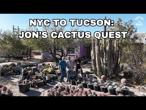 Understanding Cactus-  Soil - Water relationships with local Tucson legend