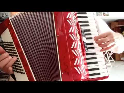 AMAPOLA PARROT 34/72 LMM