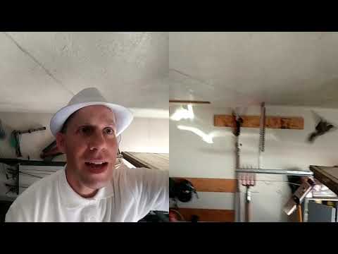 YouTube video about: How to get bird out of garage?