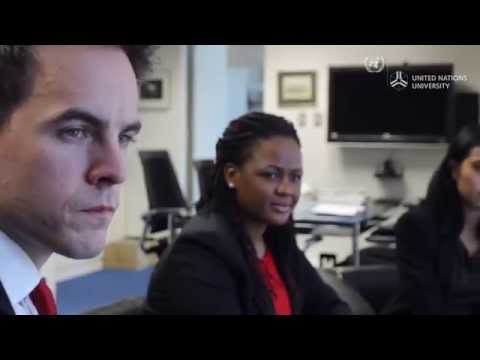 Junior Fellows Programme at United Nations University