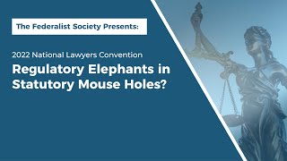Click to play: Regulatory Elephants in Statutory Mouse Holes?