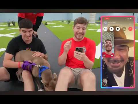 I_adopted_100_Dogs____Mr._Beast_Hindi___