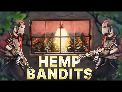 THE REASON I HIDE MY 200IQ FARM BASE - Rust