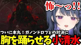 【 ゼルダの伝説 ティアーズ オブ ザ キングダム#37】ついに本丸！ガノンドロフとの対決に胸を躍らせる小清水【小清水 透切り抜き】※ネタバレあり