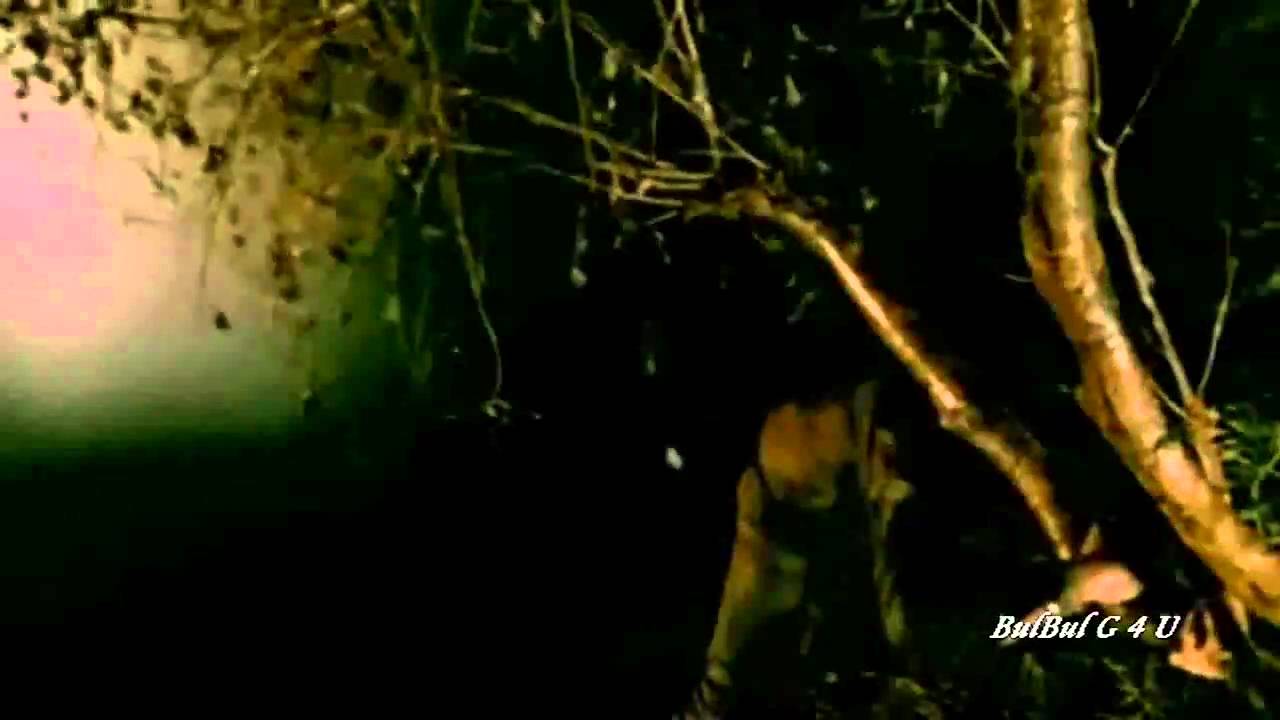 Koi Chala Ja Raha Hai Lyrics  | Woodstock Villa | Gulshan Grover, Arbaaz Khan | Rahat Nusrat Fateh Ali Khan | Anu Malik