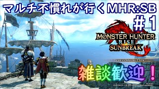 (switch版)マルチ不慣れがソロで行く、MHR：SB＃1