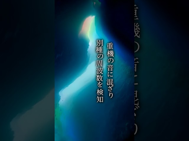 事後調査報告：デカトリア事象よりマイナス８９日