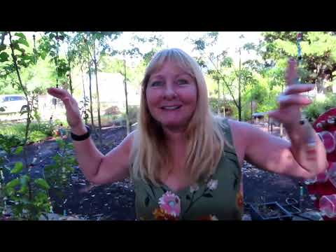 ESK QUEENSLAND HIDDEN GEM,