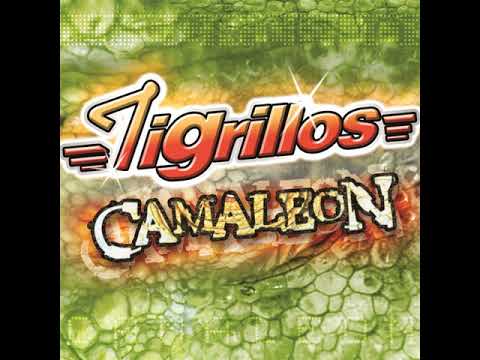 Los Tigrillos El Camaleón