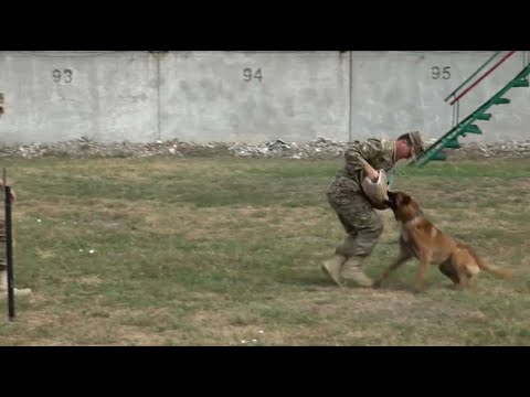 Максимнің ең сексуалды қызы (2011 жылғы бейне)