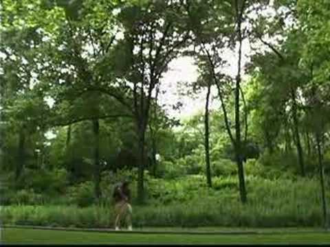 Voorstelling van Central Park