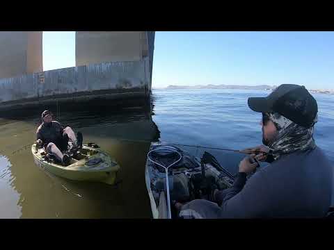 PONTE RIO X NITERÓI É O POINT DAS CORVINAS !