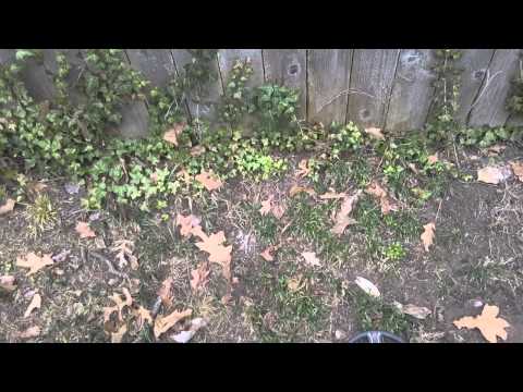 Overton Park Hunt...2-9-2015