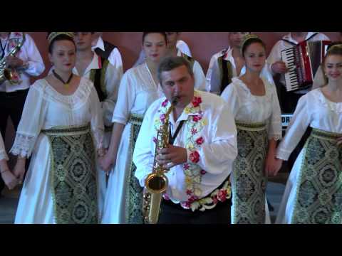 FLORIN JOLDEA   Joc de doi