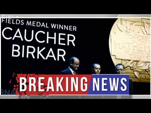 'Mathematics Nobel Prize,' Fields Medal Stolen in Rio de Janeiro Shortly after Ceremony