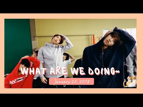 [Older Stray Kids Live] 180127 What are we doing~