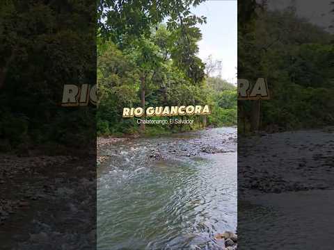 Encontramos uno de los Ríos más limpios de El Salvador 🇸🇻 #elsalvador #travel #rioguancora #chalate