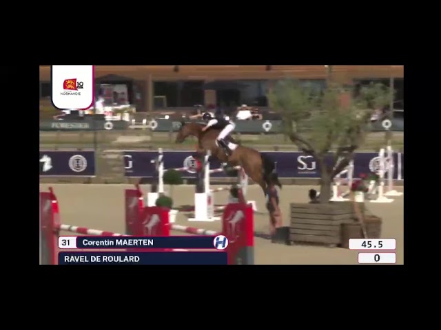 Hongre de Grand Prix 
