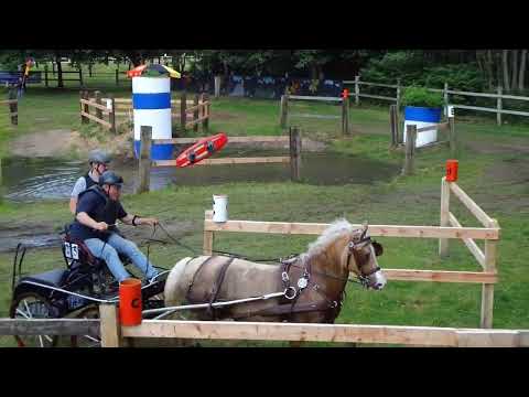 Fahrturnier Alfhausen 22.5.2022