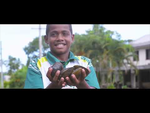 Ceva Ni Cagi Kei Nalavani - Noqu I Talanoa (Official Music Video)