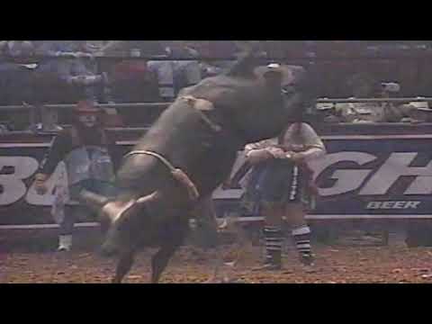 Michael Gaffney vs Risky Business - 97 PBR Birmingham (83.5 pts)