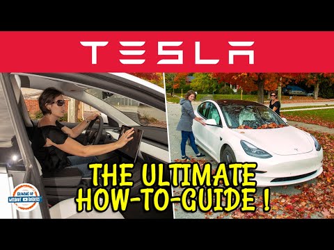 HOW TO DRIVE A TESLA FOR THE FIRST TIME? 🧐 Step by Step Guide | 197 Countries, 3 Kids