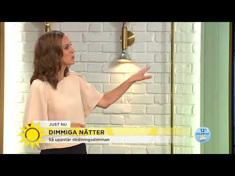 Väderspecial: Så uppstår strålningsdimman - Nyhetsmorgon (TV4)