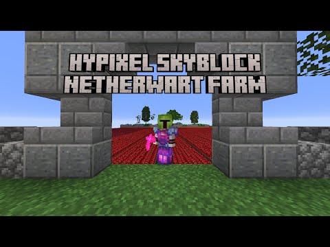 How to Build a Max Efficiency Netherwart Farm for Hypixel Skyblock