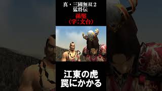 孫堅の最期 (劉表奇襲戦)