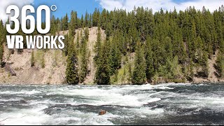 Yellowstone River Rapids - 360 VR Video