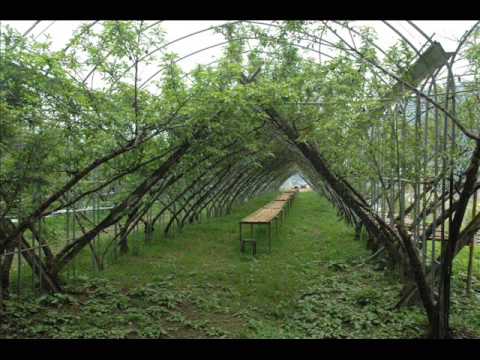 The Unicorn Song ~ Peter Paul & Mary