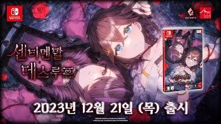 퀘이사존