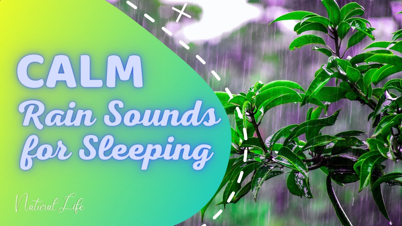 CALM Rain Sounds- SLEEP -DORMIR BEM