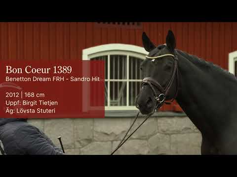 Bon Coeur 1389 stallion show 2021