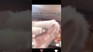 I GOT THOSE BRAINWAVE CAT EARS! #shorts #vtuber #vtuberen #nijisanji #nijisanji_en #scarleyonaguni